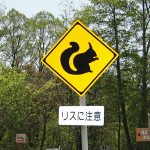 動物注意の道路標識いろいろ