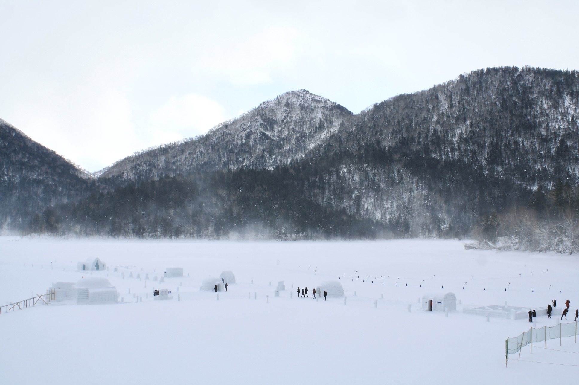 コタンの森 貴重山シリーズコタンの森